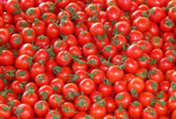 手机号群发平台