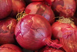 突破创新边界的轰炸电话网页版