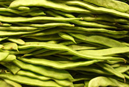 短信在线云呼轰炸