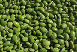 安全可靠放心的轰炸电话网页版