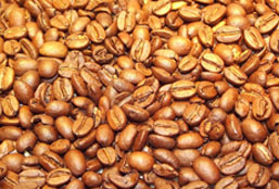 在线接收短信验证码